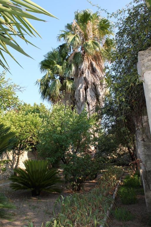 Dimora Storica "Casa Sicuro" Bed & Breakfast Martano Ngoại thất bức ảnh